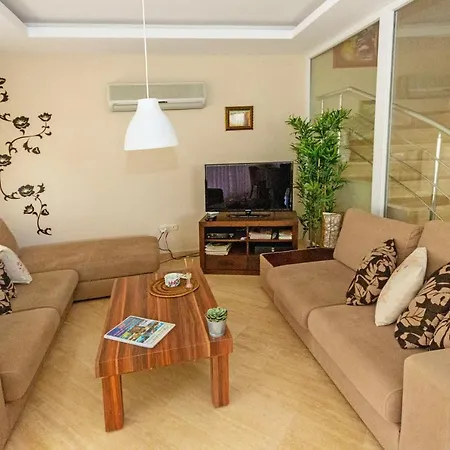 Paradise Town Marina *